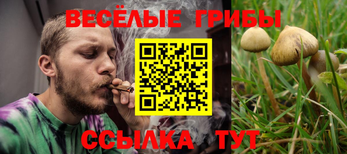 Ижевск  Галлюциногенные грибы мухоморы  Вход с VPN  Псилоцибиновые грибы мицелий 